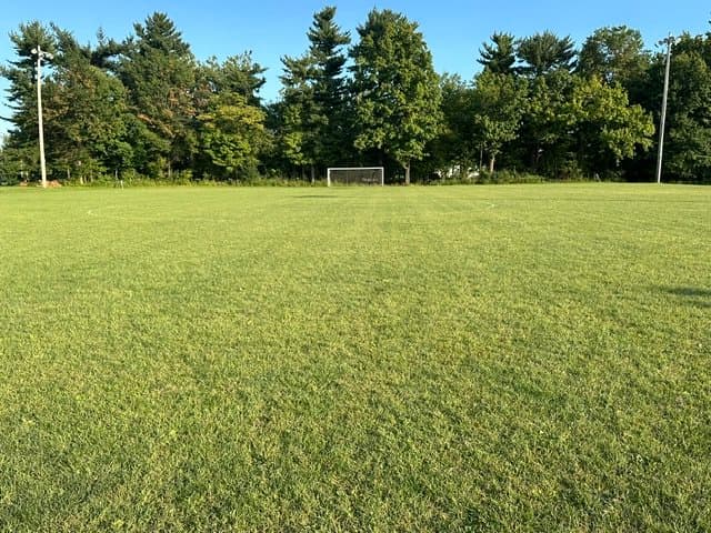 Restored Lighthouse Soccer Club field and surrounding trees
